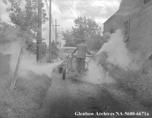 Spraying alleys, Calgary, Alberta. August 1954.   No doubt spraying to eradicate polio which they thought was spread by flies!