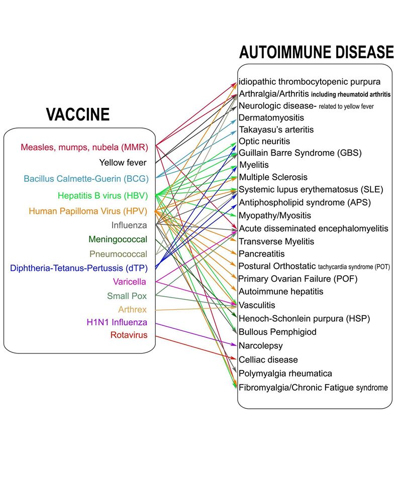 Autoimmune Diseases Linked To Vaccination