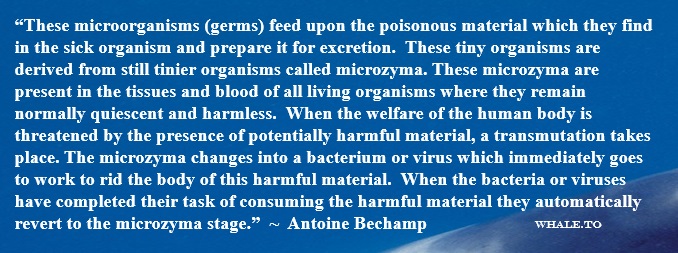 Quote by Antoine Béchamp