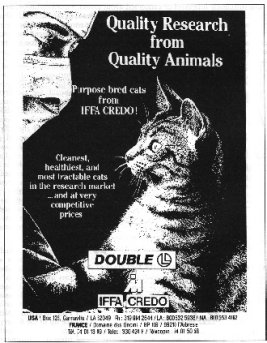 Sample advert for purpose bred cats from IFFA Credo (32k)