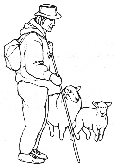 man and sheep (13k)